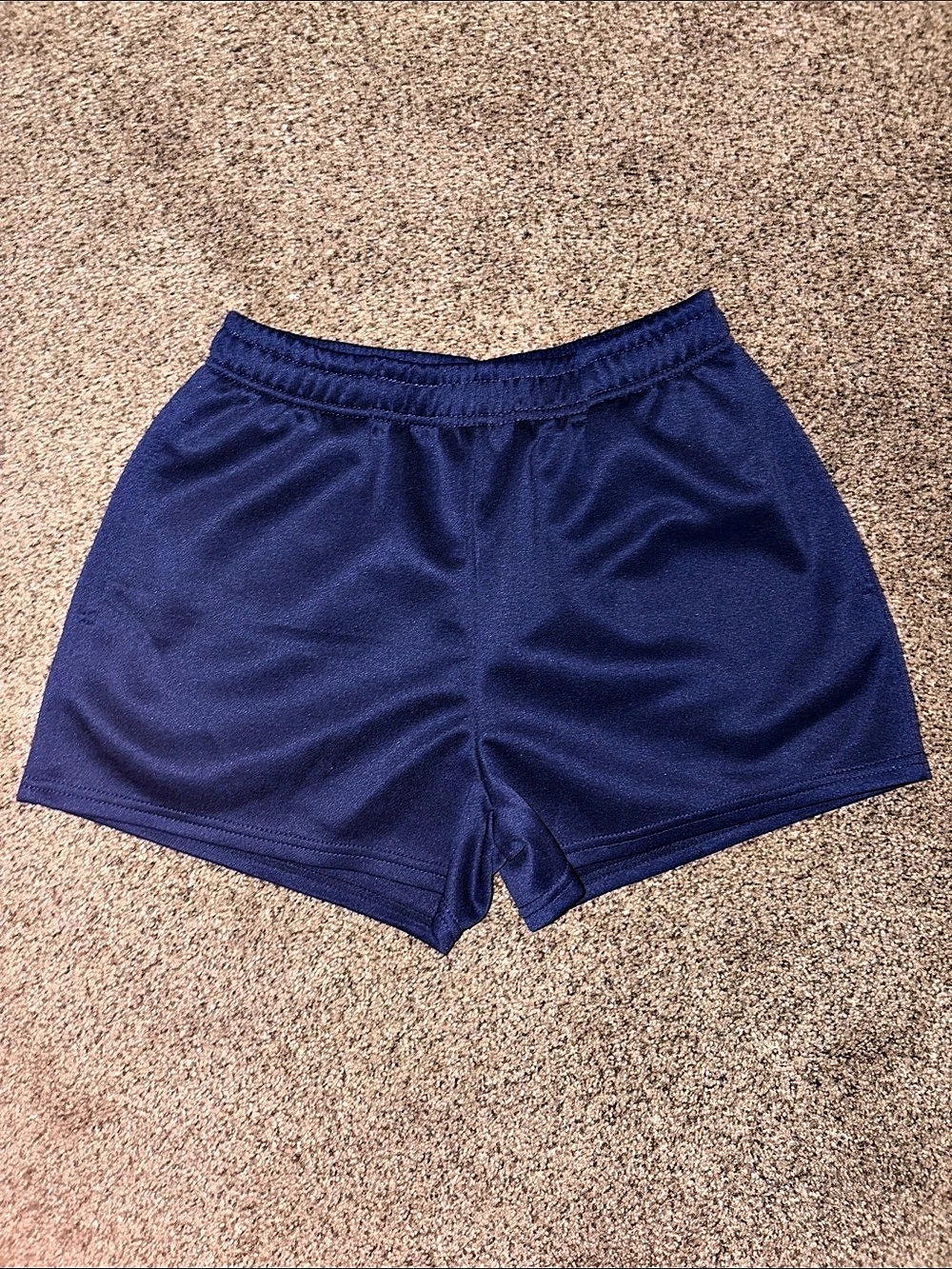 Athletic Shorts in Blue Size Small